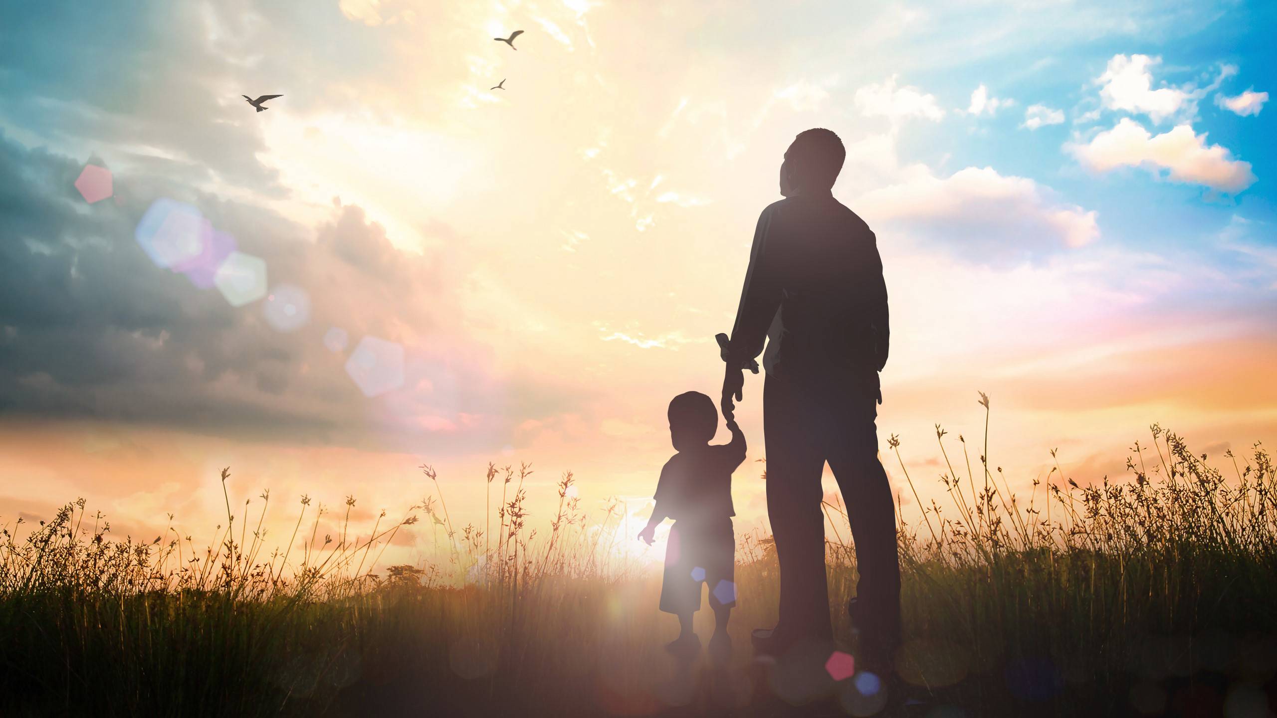 Father and son holding hands in a field as they look towards the sun